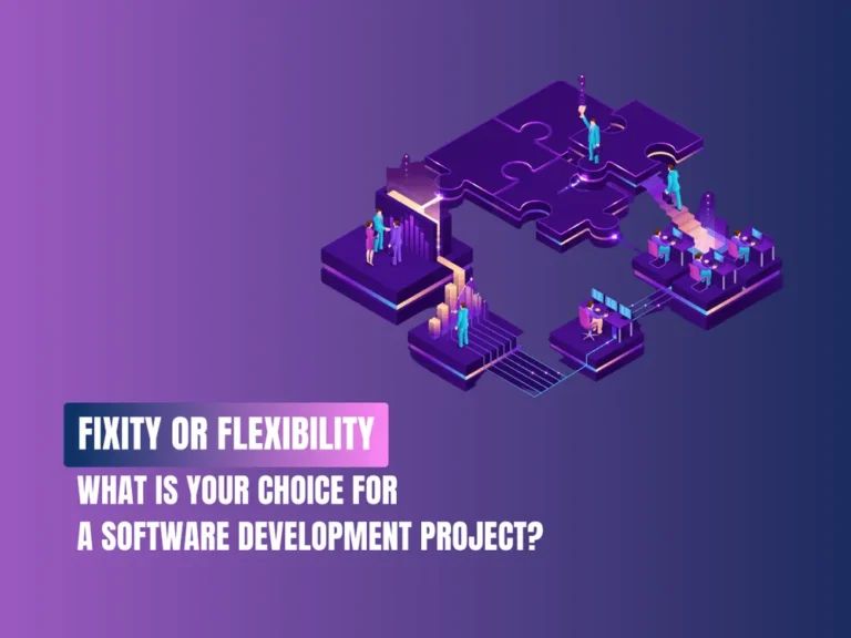 Fixity or Flexibility? What is your choice for a software development project?